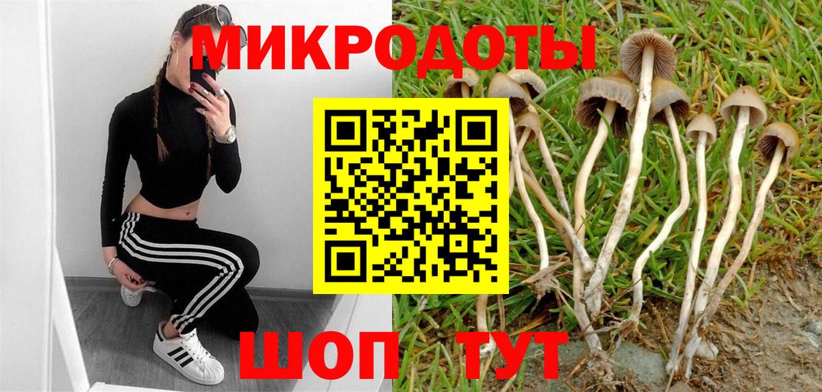 Псилоцибиновые грибы Magic Shrooms Курчатов